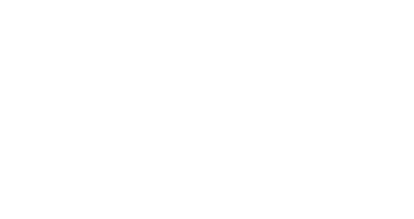 THE WHITE REHAB Logo